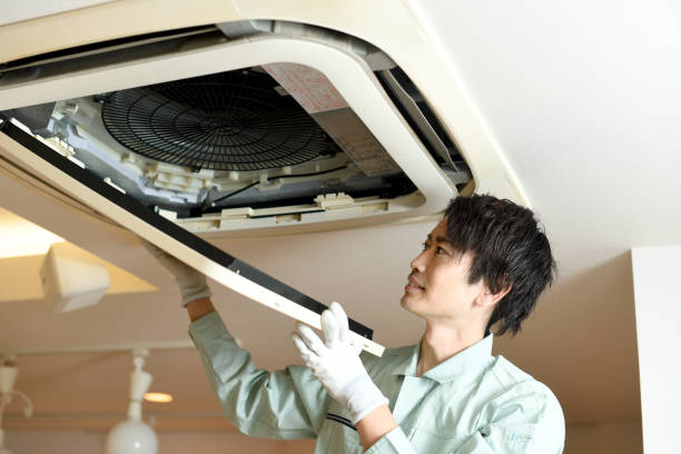 Best Air Duct Cleaning Company Near Me  in Wolfe City, TX